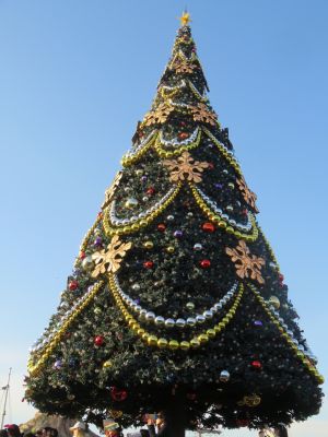 IMG_4625_400