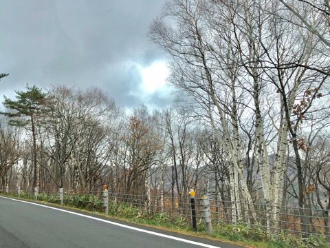 09B238E5-9A4B-4D83-9553-F3CC52FF4492