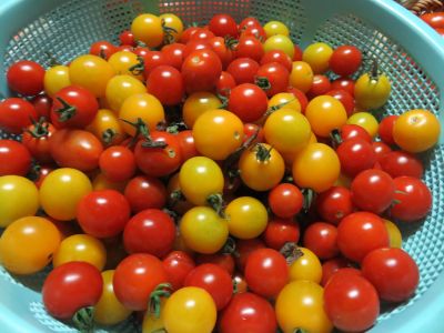 IMG_3343_400