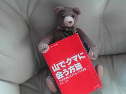 13e12307.jpg