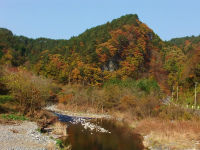 2011-11-02 020