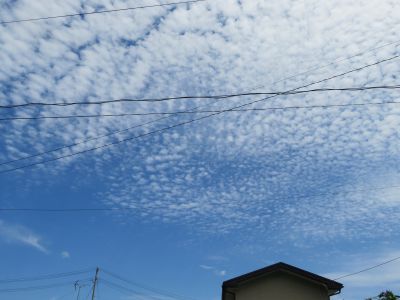 IMG_2325_400