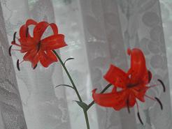 199fa19f.jpg