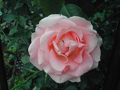 19c875a3.jpg