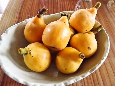 foodpic7122408