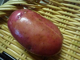 1dcef127.jpg