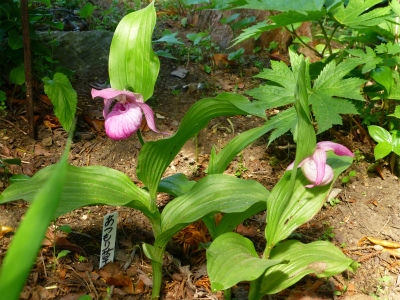 2014-06-03 001