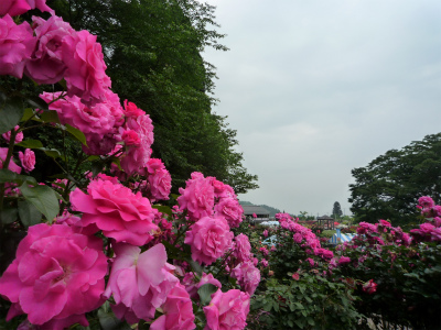 2010-06-22 066