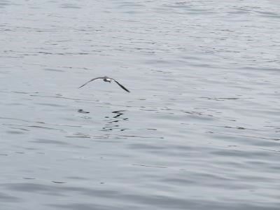 IMG_2399_400