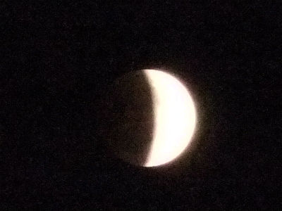 2011-12-10 008