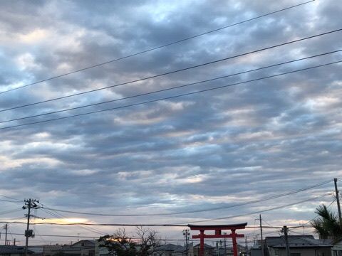 EC8F6EBB-D5F3-4F87-8E14-5FA6D18E96D8