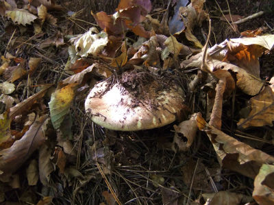 2012-10-26 022