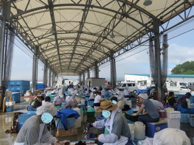 jpg2_400