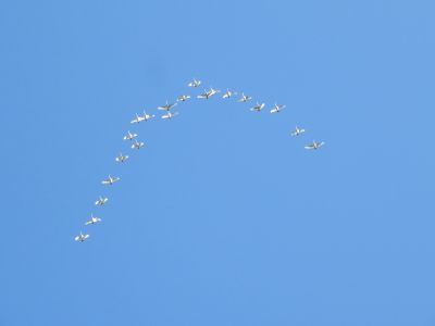 IMG_4067_400