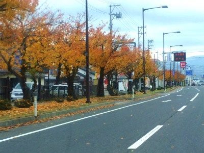 2012-11-14 027