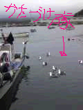 7d13f649.bmp