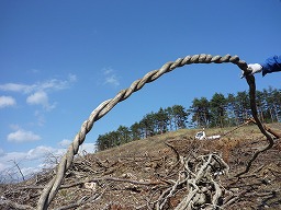 7d289ea4.jpg