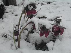 7f6b042f.jpg