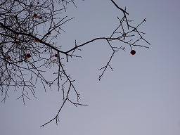 85612e3f.jpg