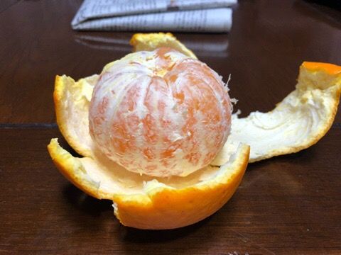 C6847CEA-501F-4121-AB7E-FFF99C1A8501