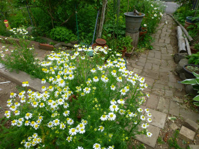 2015-06-08 015