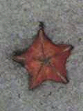 9281781d.bmp