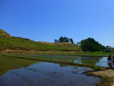 2013-05-31 080