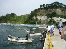 a916adf7.jpg
