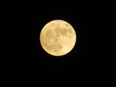 IMG_4274_400