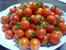 b7e544d3.jpg