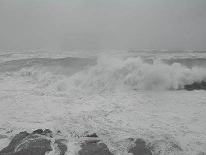 b8837e05.jpg