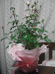 bd150a4f.jpg