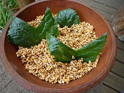 c58a66f2.jpg