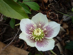 c95957b1.jpg