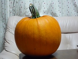 ca9d016b.jpg