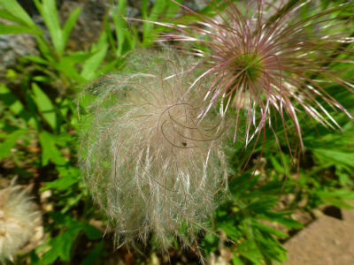 2013-06-04 026