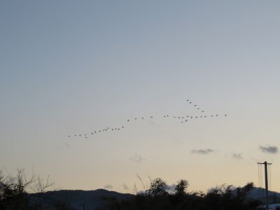 IMG_0838_400