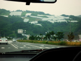 2010-06-22 012