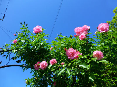 2013-06-30 001