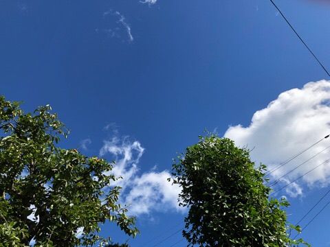 00C95323-D413-41B5-BD19-D48698CF51BB