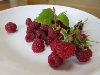 IMG_4307_400