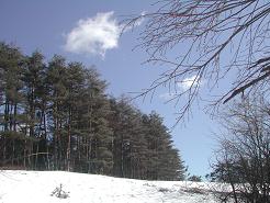 d9a1a42d.jpg