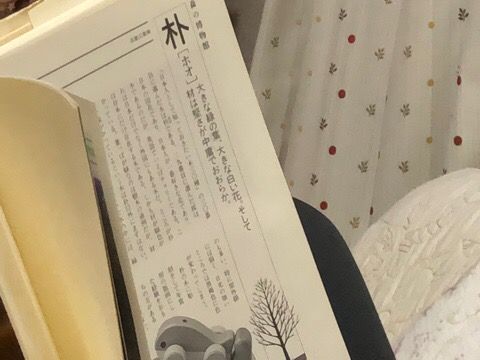 28A6439A-291D-40FE-88D9-8BDC768E7FAA