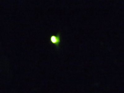 IMG_2348_400