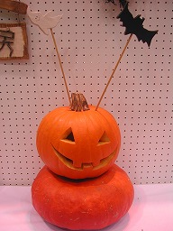 e04865d5.jpg