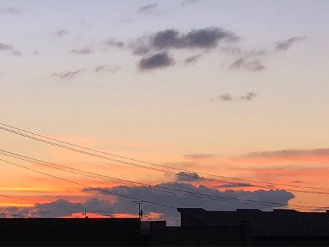 8B48819D-0382-4ABD-A795-2F892247CE57
