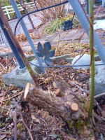 2011-02-23 007