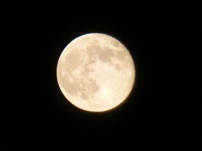 2013-06-24 049