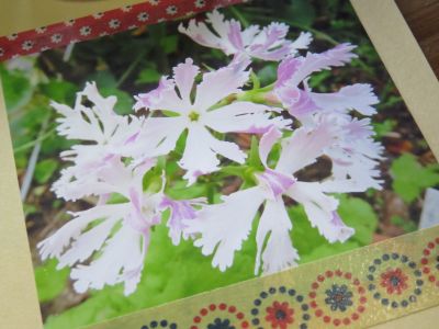 IMG_1891_400
