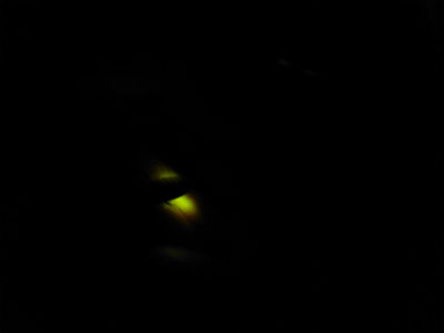 2015-06-23 004